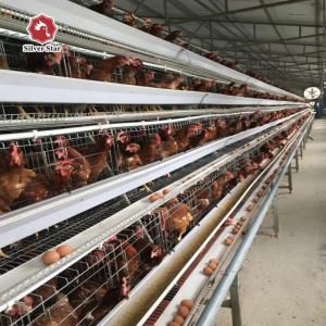 Quality 3/4/5 Layers Poultry Chicken Cage Complete Egg Chicken Layer Breeding Equipment wholesale
