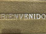 Custom welcome pvc coil mat for front door PVC Coil Logo Door Mat