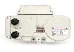 220VAC Fail Safe Electric Actuator