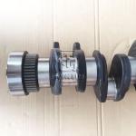 crankshaft 20459146 04502838 02931334 02931408 4502838 2931334 2931408 0450 2838