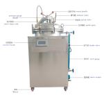 75L 100L 150L Steam Autoclave Sterilizer Vertical Pressure