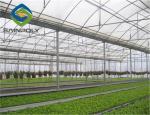 UV Radiation Protection Layer 120km/H Multi Span Greenhouses