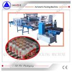 Collective Bottles Automatic Shrink Packaging Machine Plastic Bottle Shrink