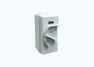 China Weatherproof 63A Electric Circuit Breakers , Swing Handle AC Breaker Switch on sale