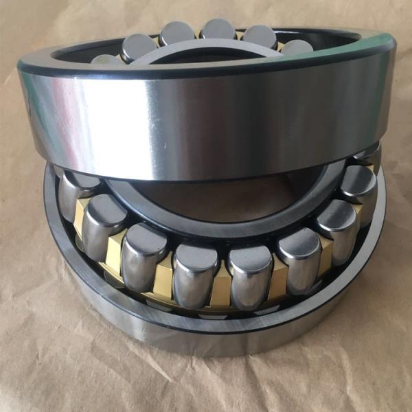 FAG Concrete Mixer Bearing F-801806.PRL Size 110x180x74/82mm Truck Roller