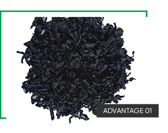 Normal Ingredients Alga Dark Green Dried Seaweed Smell Fragrant Dried Cut Seaweed Wakame