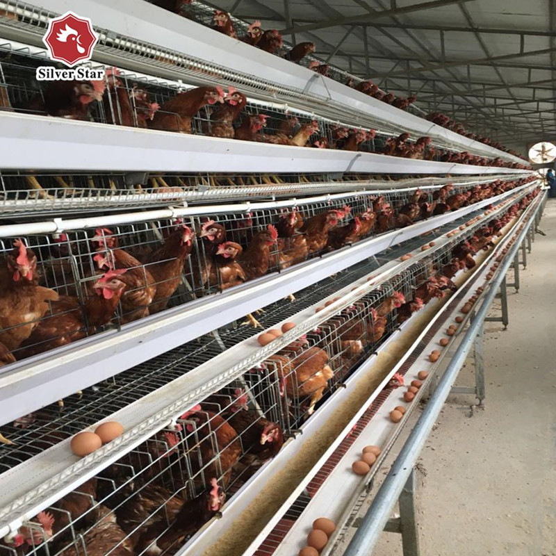 A Type Free Design Hot Galvanized Chicken Cage 4 layers