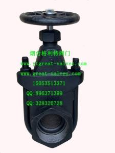 Quality clip gate valve wholesale