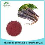 100% Natural Black Carrot Juice Powder
