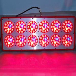 Quality 540w LED Grow Light Full Spectrum for Greenhouse and Indoor Plant Flowering and Growing wholesale