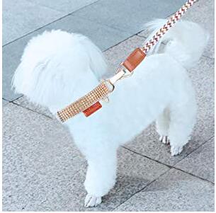 Strong Durable Dog Harness Leash Premium Polyester Material Genuine Leather