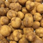 BBQ Flavor Fried Chickpeas Snack High Nutrition Healthy