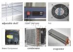 Multiscene Commercial Restaurant Refrigerator Anticorrosive Practical