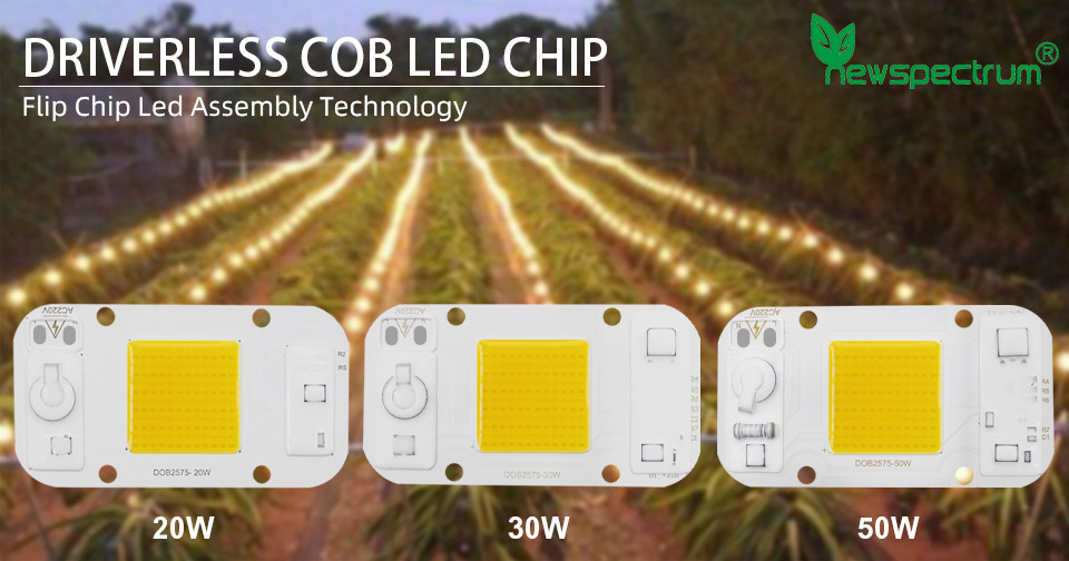 Aluminum Material COB LED Module