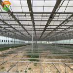 Multi-Span Agricultural Greenhouses with Hot Galvanized Steel Transparent Solar