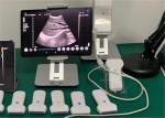 APP Free 10MHz 20-305mm Color Doppler Ultrasound Scanner