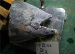 Under 18 Degree Sea Fresh Yellow Fin Tuna Fish Head