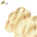 613 Blonde Color Virgin Human Hair Weft Weave With No Tangle No Shedding