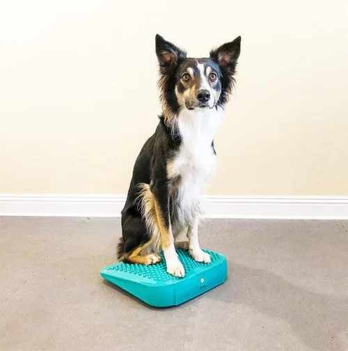 Dog training massage foot relaxation PVC massage board