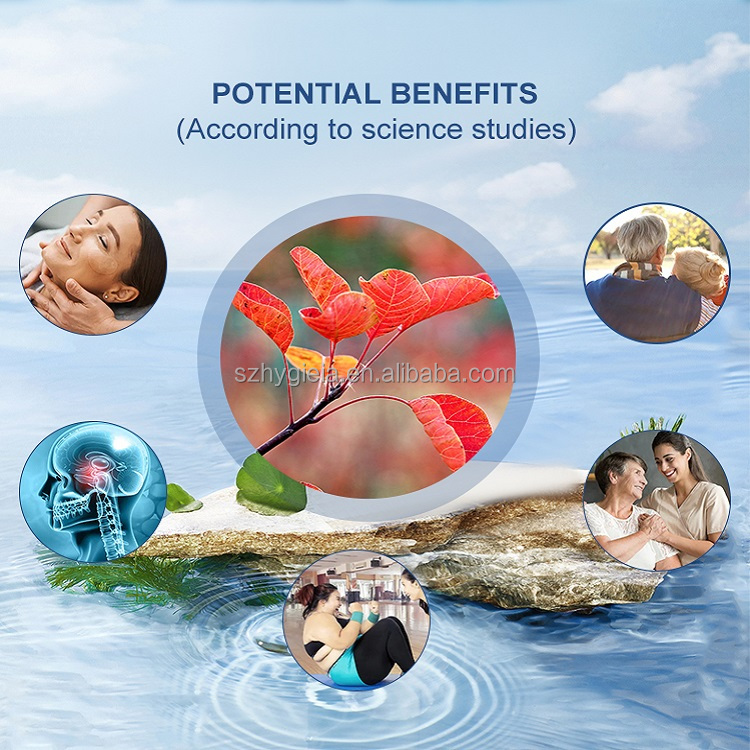Fisetin 98% Food Grade 3rd Party Tested Fisetin Powder Work With Pterostilbene For Liposomes