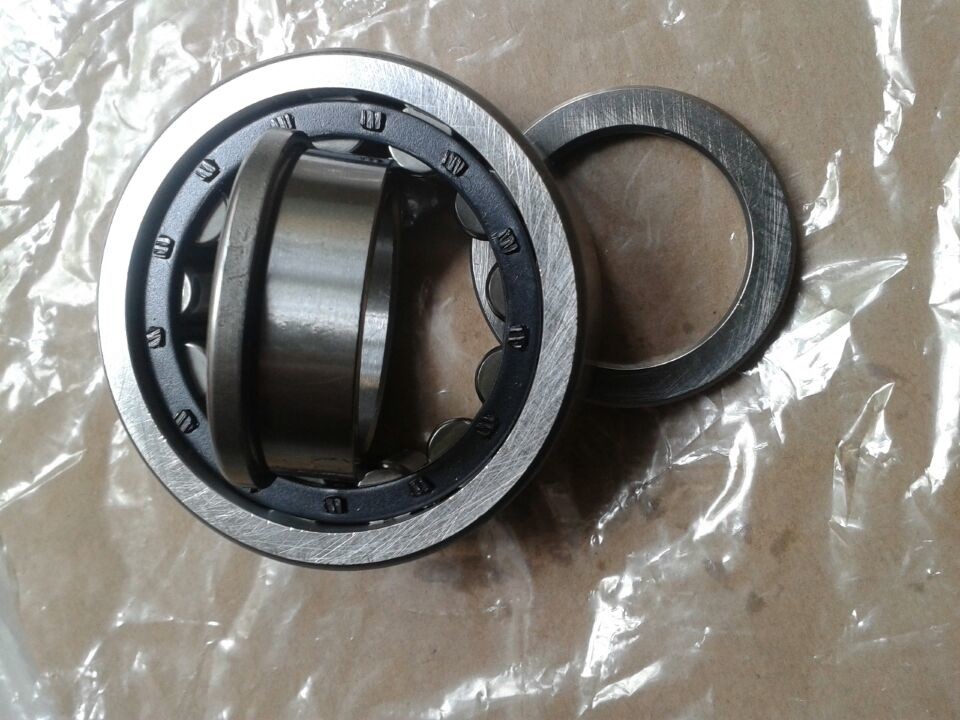 NJ305EM / C3 Flange Inside Ring Single Row Cylindrical Roller Bearings Chrome Steel V3