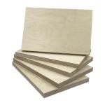 Hot Sale E0 Baltic Birch Plywood 6mm 9mm 12mm 15mm 18mm 24mm Full Birch