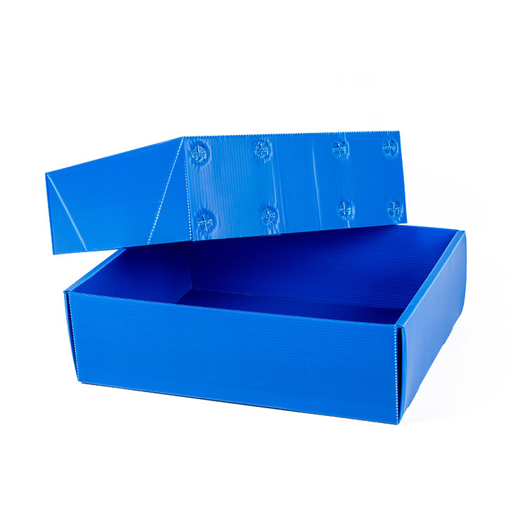 Corruone Collapsible PP Corrugated Plastic Danpla Box Polypropylene Plastic Sheet Crates Corrugated Storage box