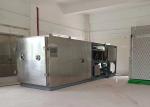 300KG Industrial Food Vacuum Freeze Dryer Lyophilizer