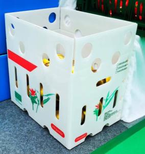China Plastic Turnover Box PP Hollow Sheet Corrugated Board Packing Bin For Vegetable on sale