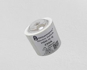 Quality High Breaking Capacity Ceramic Automotive Fuses 250A 500VDC wholesale