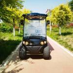 4+2 Seater Electric Golf Cart Multifunctional Factory Outlet Cheap Price