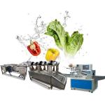 Industrial Air Bubble Ozone Fruit Vegetable Washing Machine