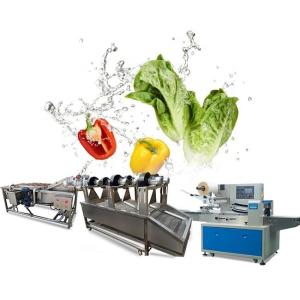 Quality Industrial Brush Roller Sweet Potato Washing Machine Carrot Cleaning Machine wholesale