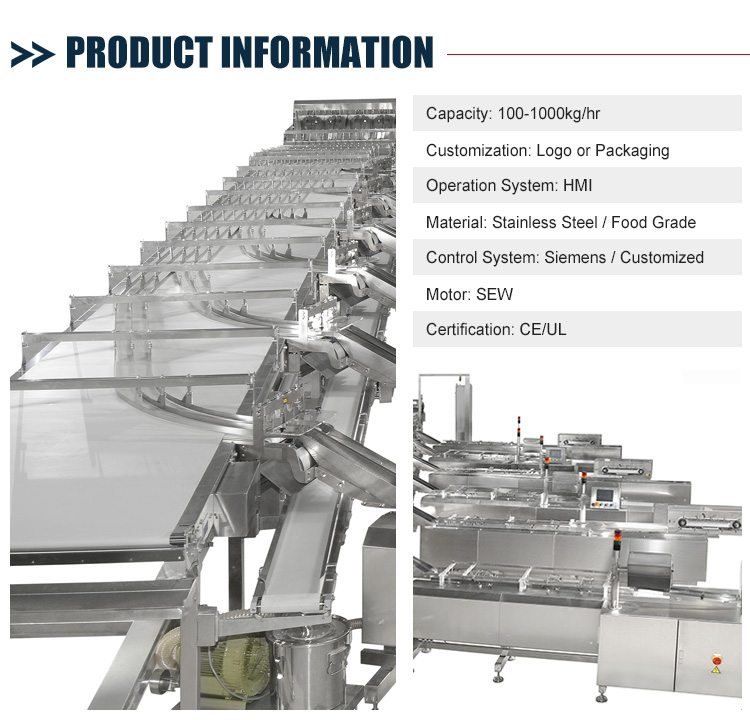 Automatic Smart Belt Feeding System Food Electric Belt Conveyor For Biscuit Product Line