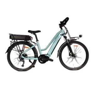 Quality 26 Inch Mid Drive Electric Bike 250W Hydraulic Disc Brake Bicycle For Adult wholesale