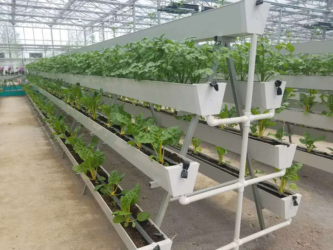 Vertical Farming Container Greenhouse with Substrate Culture System