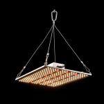 380nm 5000K Quantum Board Led Grow Lights