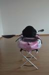 Customized Adult Sit On Kayak , Multi - Model Sea Fishing Kayak Entertaining