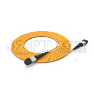 Quality 850nm Multimode Low Loss Ferrule MPO Trunk Cable Multi-core Fiber Optic Patch Cord wholesale