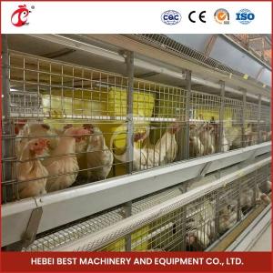 Quality Automatic H Type Meat Broiler Chicken Cage 84 Birds Poultry Farm Equipment Mia wholesale