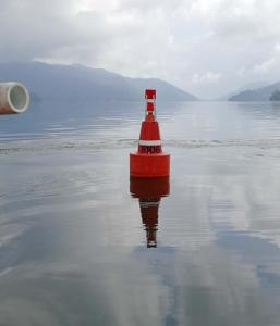Quality Visibility Yellow/Red/Green Polyethylene Buoy With Solar Power Lantern wholesale
