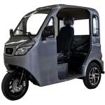 Track Electric Sightseeing Car Semi-enclosed Tourist eTrike Adult eCar