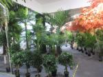 Artificial Plant Final Quality Inspection Services Within 24hours Issue Report