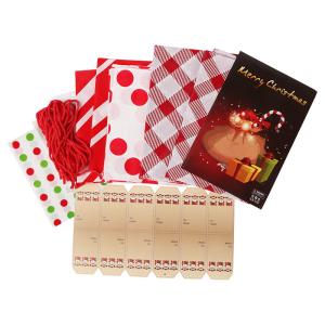 Quality Heavy Duty Set Flat PE Christmas Plastic Bags With String Ties wholesale