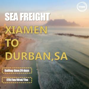Quality Shipping From Xiamen China to Durban South Africa wholesale