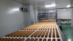 Quality Straight Endless Belt Multi Layer Cooling Food Industry Conveyors wholesale