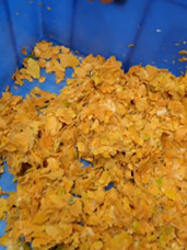 Fruit Juice Double Stage 10TPH Mango Processing Line