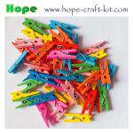 Natural Wood Color Solid Wooden Clothpins Clips Pegs with Animal Fruit Christmas