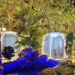 Sunshade Outdoor Bubble Tents Green PC Clear Dome House