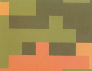 Quality Camouflage color prepainted Steel Coil wholesale